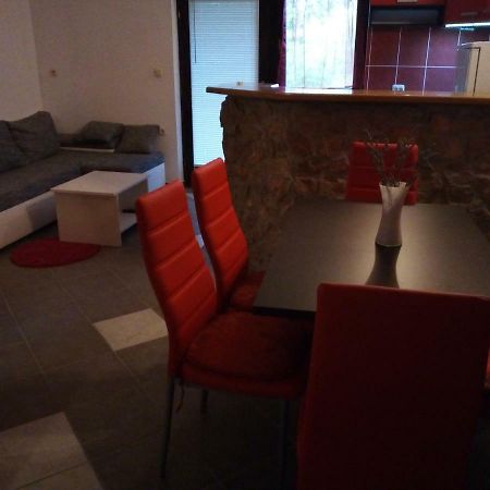 Studio Apartman Hrast Seline Exteriör bild